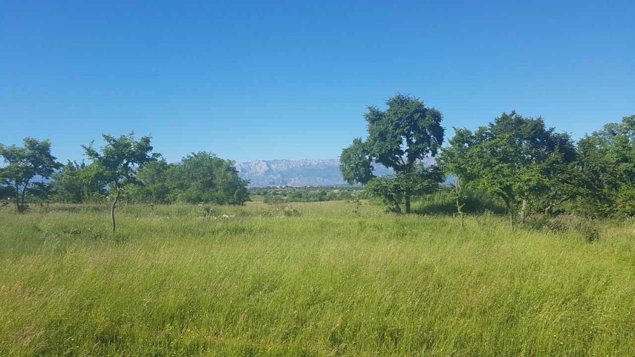 Savrsen Odmor U Villa Ivona Zadar Eksteriør billede